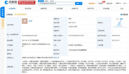 京東云計算拓展智能城市版圖，新設科技公司布局動漫游戲開發與系統集成